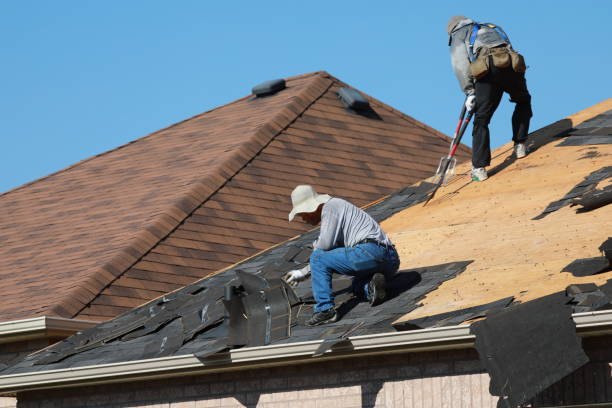 Best Roof Maintenance and Cleaning  in Farmland, IN